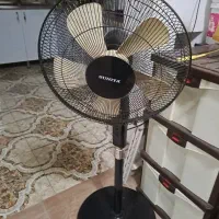 پنکه سونیا