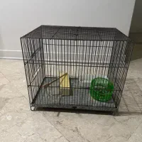 قفس غلامی‌بزرگ