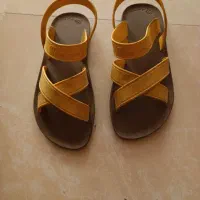 کفش|کیف، کفش، کمربند|شیراز, لاله|دیوار