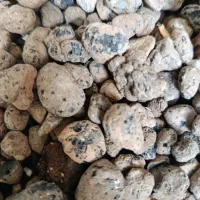 خاک|گل و گیاه طبیعی|تهران, نارمک|دیوار