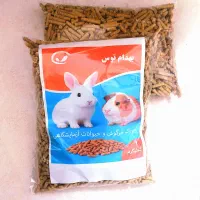 خوراک خرگوش