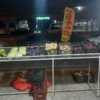 قفسه میوه|فروشگاه و مغازه|بندر ماهشهر, |دیوار