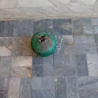 پیکنیک سالم وخوب ۸۰۰ تومان