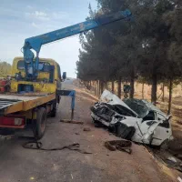 جرثقیل و یدک کش عزیزی|خدمات حمل و نقل|رفسنجان, |دیوار