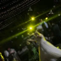 دی جی (dj) دیجی|خدمات پذیرایی، مراسم|کازرون, |دیوار