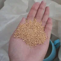 دانه پارس.درجه 1فقط ۸۵تومان