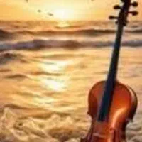 آموزش موسیقی.تدریس.ویولن.ویلن