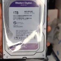 هارد ۱ ترا وسترن بنفش در حد نو