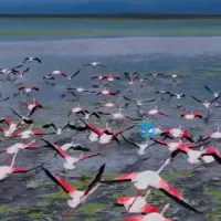 سفر گروهی ماجراجویانه به میانکاله مازندران