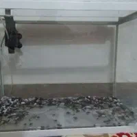 آکواریوم ترک ورداشته