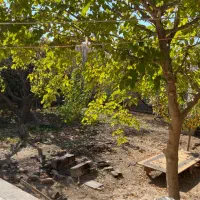 خانه باغ ویلالیی|فروش خانه و ویلا|ماهدشت, |دیوار