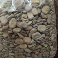 باقالامازندرانی