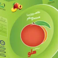 نرم افزار هلو نسحه پخش