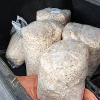 باقالی کشاورزی|خوردنی و آشامیدنی|رشت, جانبازان|دیوار