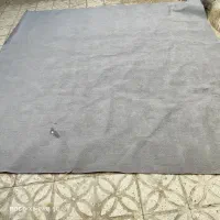 موکت طوسی شسته شده|موکت|قرچک, داوود آباد|دیوار