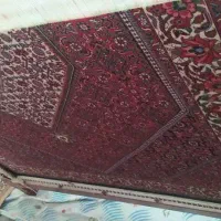فرش بافی|گلیم، جاجیم، گبه|زنجان, |دیوار