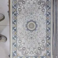 پادری فرش|پادری|قم, شاه ابراهیم|دیوار