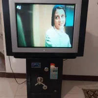 گاو صندوق و تلوزیون