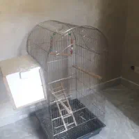 دو قفس طوطی سانان معاوضه با تخت فلزی تک نفره کامل|لوازم جانبی حیوانات|تهران, توحید|دیوار