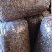 تامین کننده مغز بنه،الوک،به صورت عمده|خوردنی و آشامیدنی|شیراز, شهرک مهدیه|دیوار