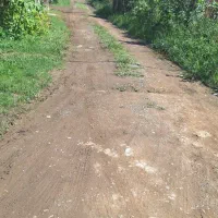 اجاره سوئیت بلندمدت