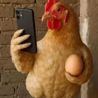 تخم مرغ محلی تازه