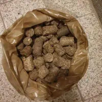 فروش تفاله فشنگی چغندر