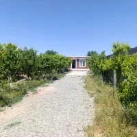 باغ باغچه سند تک برگ شهریار فرارت