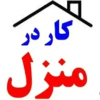 ادمین دایرکتور برای پاسخگویی پیج فروشگاه لباس 180k