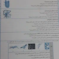 کتاب کار زیست دهم(سیگنال۲۰)|کتاب و مجله آموزشی|سبزوار, امیر کبیر|دیوار