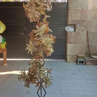 گل مصنوعی پایه فرفورژه دارای چراغ خواب،|مبلمان خانگی و میز عسلی|بهنمیر, |دیوار