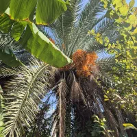 ادمین با تجربه پیج اینستاگرام