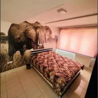 اجاره روزانه/منزل مبله،سوییت،هتل آپارتمان وفا|اجارهٔ کوتاهمدت آپارتمان و سوئیت|شیراز, عفیفآباد|دیوار