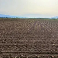 نیازمند زمین کشاورزی در محدود دشتروم ومختارو قلات