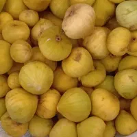انجیر محلی