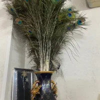 فروش طاووس هندی ۲ساله .پر طاووس|پرنده|یزد, |دیوار