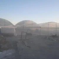 اجاره گلخانه|اجارهٔ دفتر صنعتی، کشاورزی، تجاری|زاهدان, |دیوار