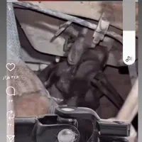 ضایعات شمارو به بهترین قیمت خریدارم