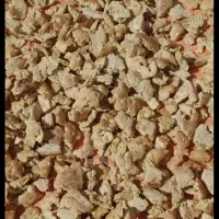 نان خشک تمیز وبدون اشغال