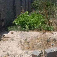 باغچه ۴۷۵متری چهاردیواری|فروش زمین و ملک کلنگی|رباط‌کریم, منجیل آباد|دیوار