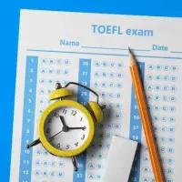 تافل هوم ادیشن. تافل سنتری تضمینی