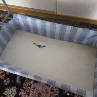 گهواره یا ننو کودک