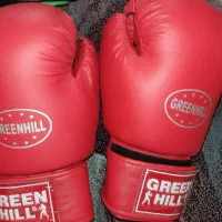 کیسه بوکس ـ دستکش بوکس ـ اسکوتر|تجهیزات ورزشی|تهران, درختی|دیوار