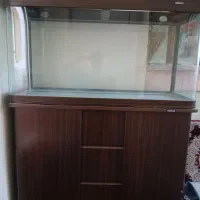 اکواریوم ماهیران