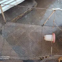 قفس توری مرغ و خروس بوقلمون کبوتر..|لوازم جانبی حیوانات|کرمان, |دیوار