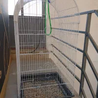 سه مدل قفس تمیز