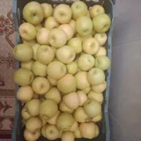 میوه باغ