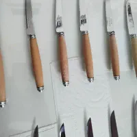 کارد میوه خوری|ظروف سرو و پذیرایی|تهران, بهداشت|دیوار