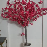 درخچه شکوفه|گل و گیاه طبیعی|کهریزک, |دیوار