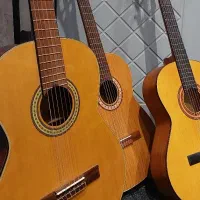 گیتار پارسی،یاماها،آریا